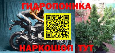 каннабис Новозыбков