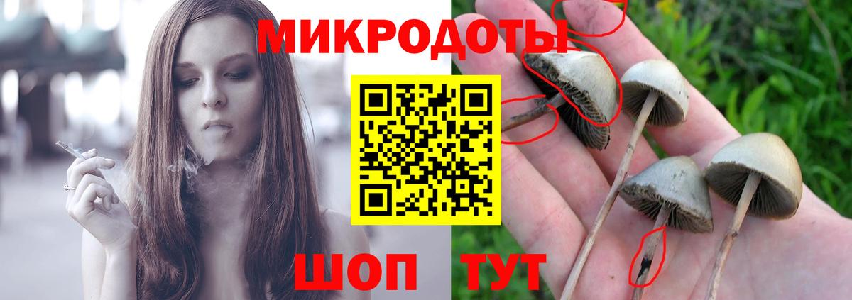 Псилоцибиновые грибы ЛСД Азнакаево