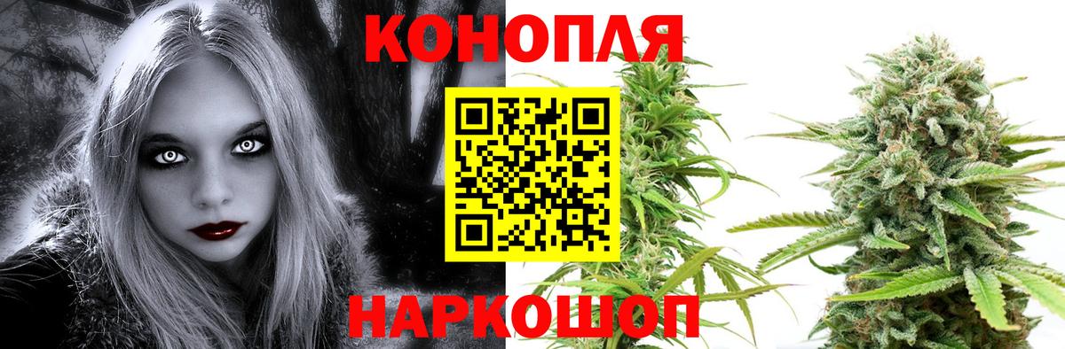 Азнакаево  Бошки марихуана тримм  Бошки Шишки сатива  Вход с VPN  Шишки марихуана семена 